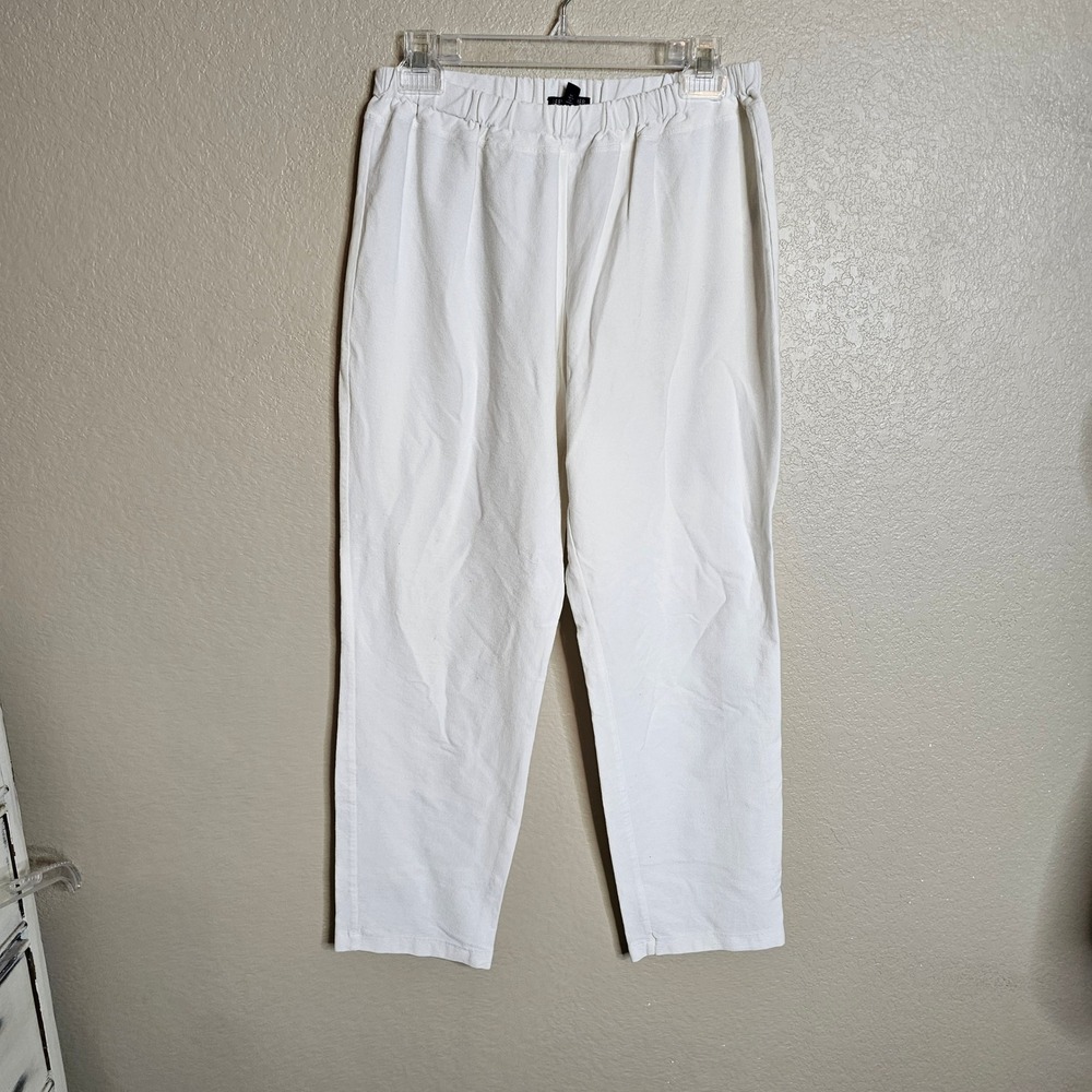Eileen Fisher Woman off White stretch Crepe Elastic Waist Straight Leg Pants 1X